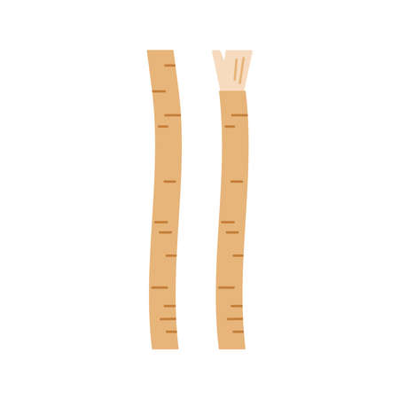 Siwak miswak organic toothbrush icon set isolated on white background.のイラスト素材