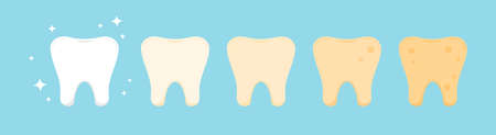 Tooth dental plaque stages vector icon set.のイラスト素材