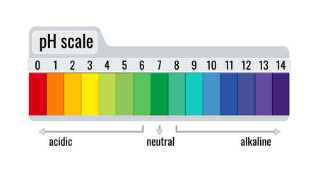 pH value scale chart meter for acid and alkaline solutions isolated on white background.のイラスト素材