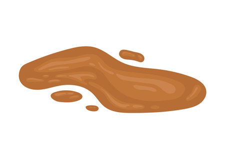 Poop excrement for bristol scale chart watery pieces.のイラスト素材