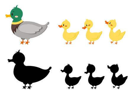 Duck bird with duckling and silhouette isolated on white background.のイラスト素材