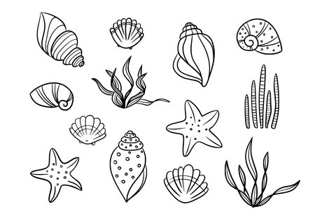 Sea shell starfish and seaweed silhouette vector icon set.のイラスト素材