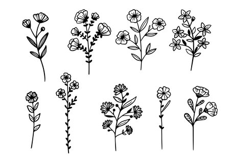Flower plant line art simple drawn set.のイラスト素材
