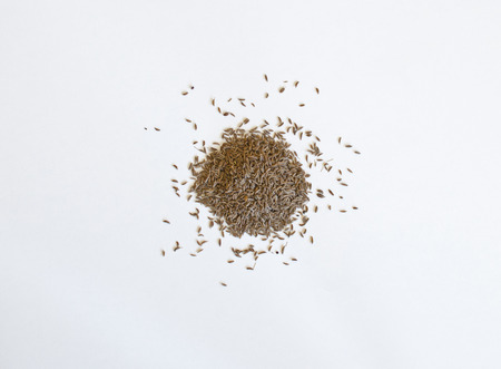 Pile of Caraway seeds on a white backgroundの写真素材