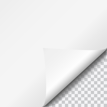 Realistic vector ilustration curled white paper corner with transparent backgroundのイラスト素材