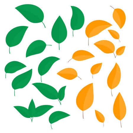 Set of colorful leaves in summer and autumn differently curled isolated on white background - vectorのイラスト素材
