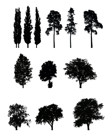 Set of realistic vector silhouettes of trees, isolated on white backgroundのイラスト素材