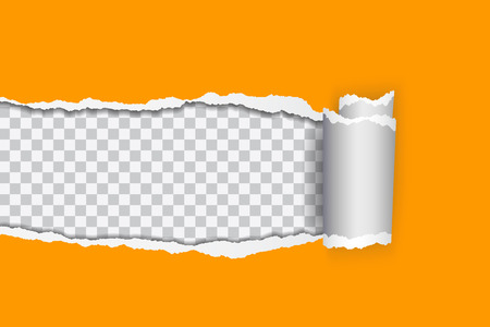 Vector realistic illustration of orange torn paper with rolled edge on transparent background with frame for textのイラスト素材