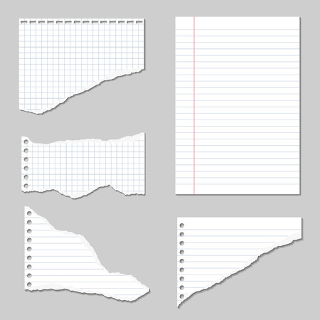 Set of Vector Illustrations of torn pages of notebook paper lined and squared with shadowsのイラスト素材