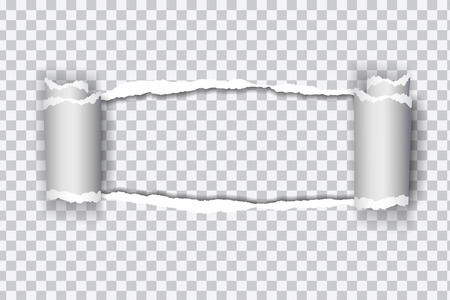 Realistic transparent torn paper with rolled edgeのイラスト素材