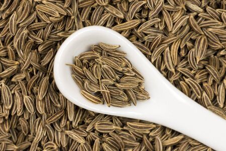 Close-up photo of still life with caraway with white porcelain spoon on wooden backgroundの写真素材
