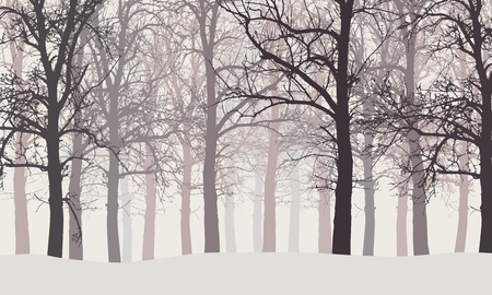 Vector illustration of a winter forest without leaves with snow and hazy backgroundsのイラスト素材