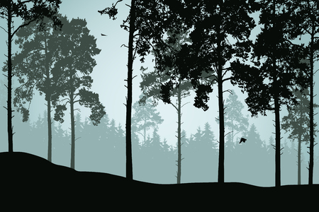 Vector illustration of coniferous and pine forest with flying birdsのイラスト素材