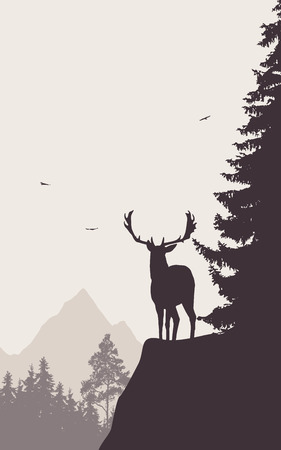Deer standing on the top of the mountain and looking into the valleyのイラスト素材