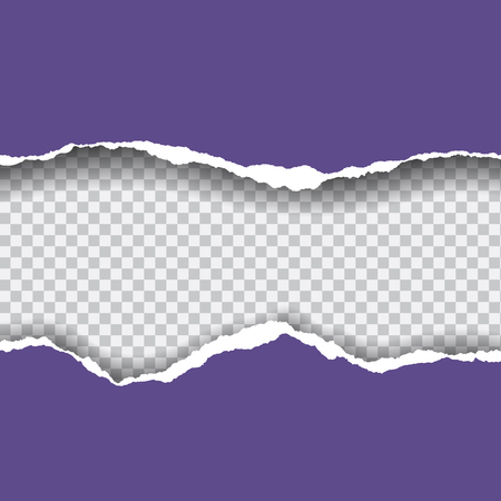 Realistic vector violet ripped paper with space for your text, isolated on transparent background.のイラスト素材