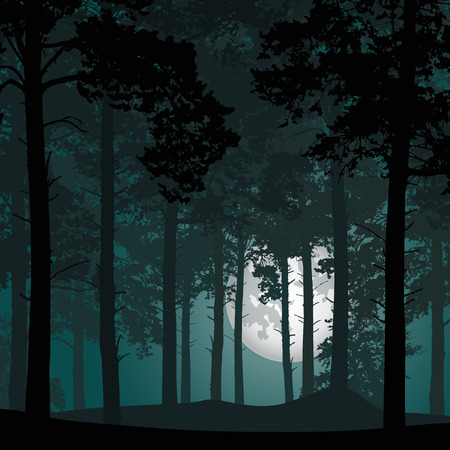 Vector illustration of a deep coniferous forest under a night sky with full moonのイラスト素材