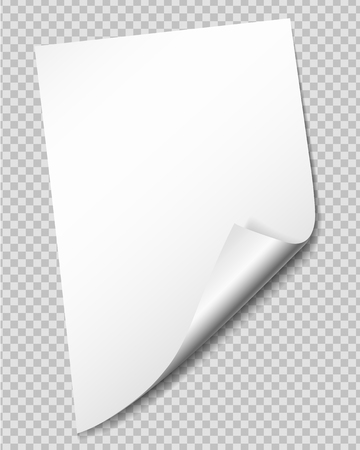 White sheet of paper with bent corner, isolated on transparent background - vectorのイラスト素材
