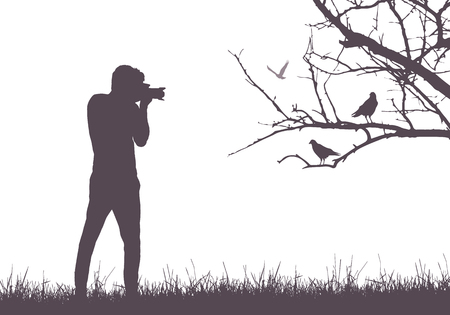 A young man in nature photographing birds sitting on tree branch - vectorのイラスト素材