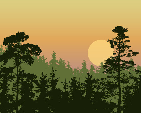 Vector illustration of a dense coniferous green forest on a hill under a morning or evening orange sky with red and yellow sunrise - with multi-layer effect and space for textのイラスト素材