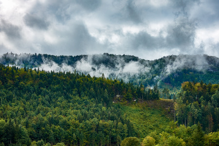 View of mountain landscape in Austria with coniferous forest in mist and haze under autumn sky with cloudsの写真素材