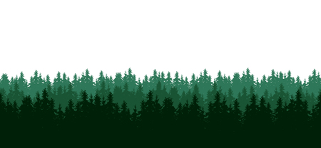 Realistic wide screen seamless illustration of silhouettes of green coniferous spruce or fir forest, isolated on white background - vectorのイラスト素材