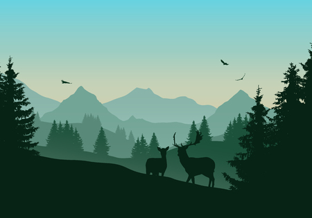 Realistic illustration of mountain landscape with green coniferous forest, two deer and three flying birds in the sky with dawn - vectorのイラスト素材