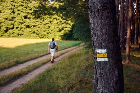 Yellow sign on tree trunk in forest. Male hiker goes down a path in the grass with a backpack on his back.の写真素材