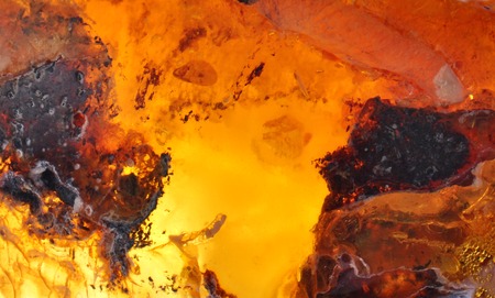 Baltic amber, resin segments, fossil millions of yearsの写真素材