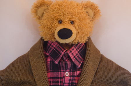 Dressed bearの写真素材