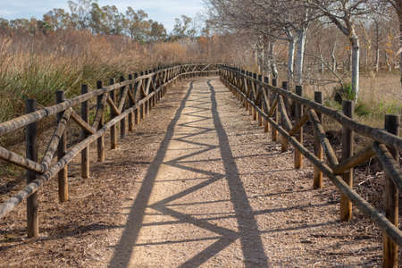 Path to visit nature, in the wonderful landscapes of the Ebro deltaの写真素材