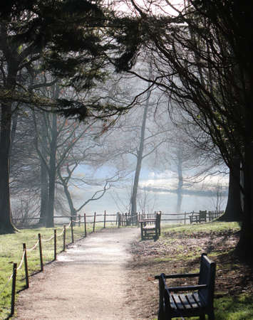 Path through empty park to pond with benches in winterの写真素材