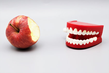 Chattering teeth takes a bite out of an apple, oral healthの写真素材