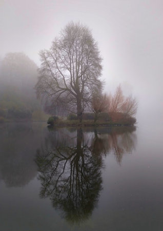 Bare trees on a small island in the fog in winter with reflectionの写真素材