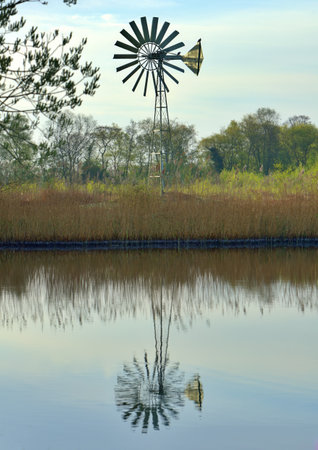 Wind pump by a lake at dawnの写真素材