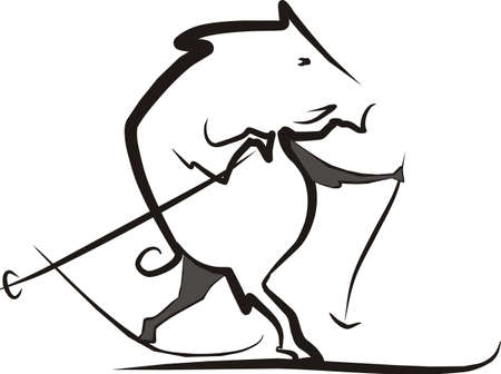 wild boar on the skiのイラスト素材