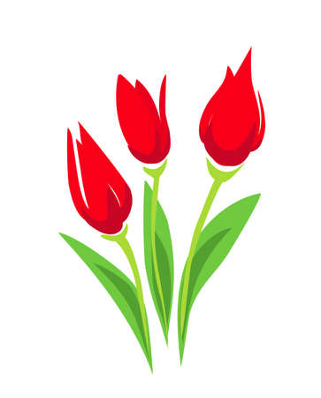 Tulip stylized vector illustration. isolated symbol on white backgroundのイラスト素材