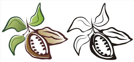 cacao symbol in two variants black and color, isolatedのイラスト素材