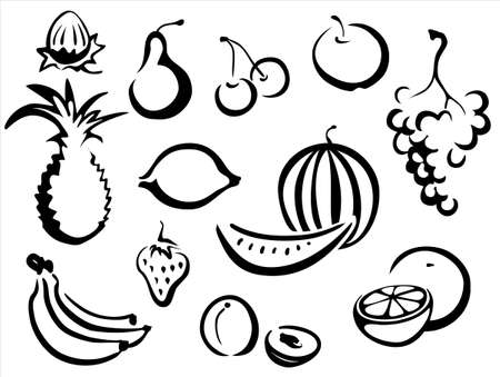 fruits symbols collection, sketch in simple black linesのイラスト素材