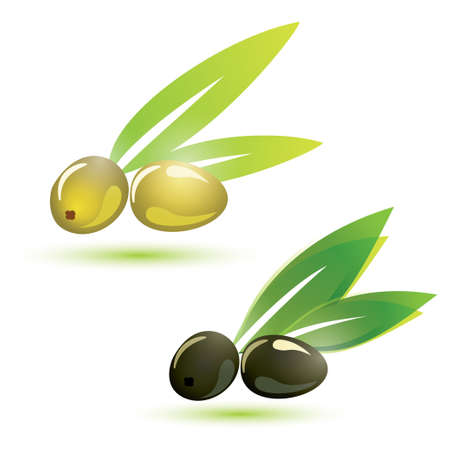 stylized green and black olives symbol, isolated  illustrationのイラスト素材