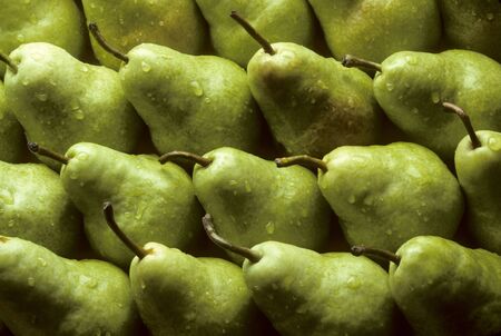 Bartlet pears lined up sprinkled with waterの写真素材