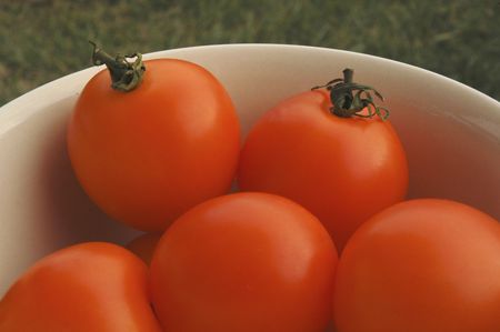 Bowl of orange low-acid tomatoes, with grass in background.の写真素材