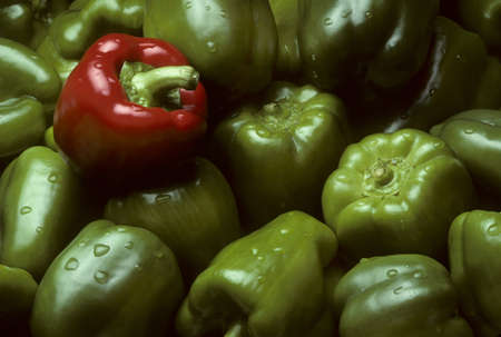 Pile of green Bell peppers with one red Bell pepper with water dropletsの写真素材