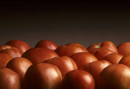 Layer of red tomatoes against a gray backgroundの写真素材