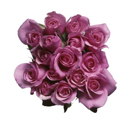 Overhead view of a bouquet of pink roses against whiteの写真素材