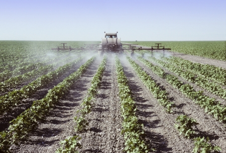 Crop sprayer spraying young cotton plants in a field in the San Joaquin Valley, Californiaの写真素材