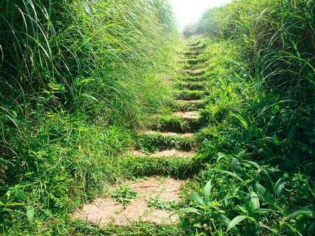 stone steps leading up a hill and skylightの写真素材