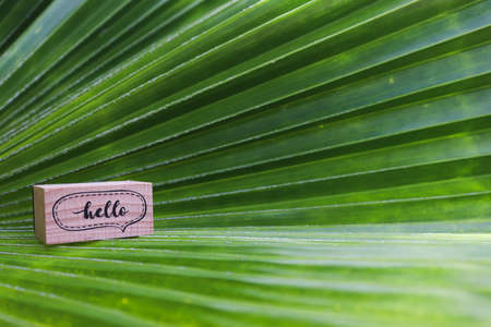 Palm leaf and wooden cube with word HELLO on it.