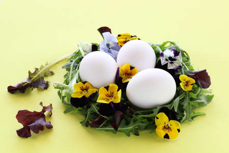 Egg nest made from salad leaves and flowers. Easter decoration. Closeup.