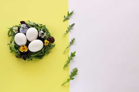 Fresh arugula leaves with eggs and pansies. Arugula isolated.