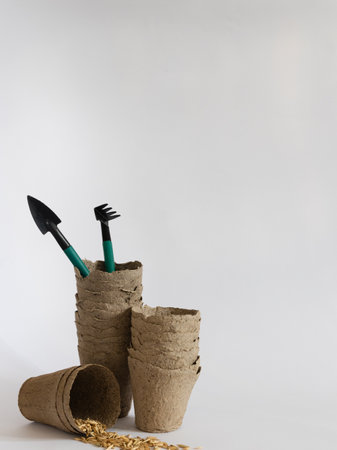 Grains with tools for gardening and seedlings.